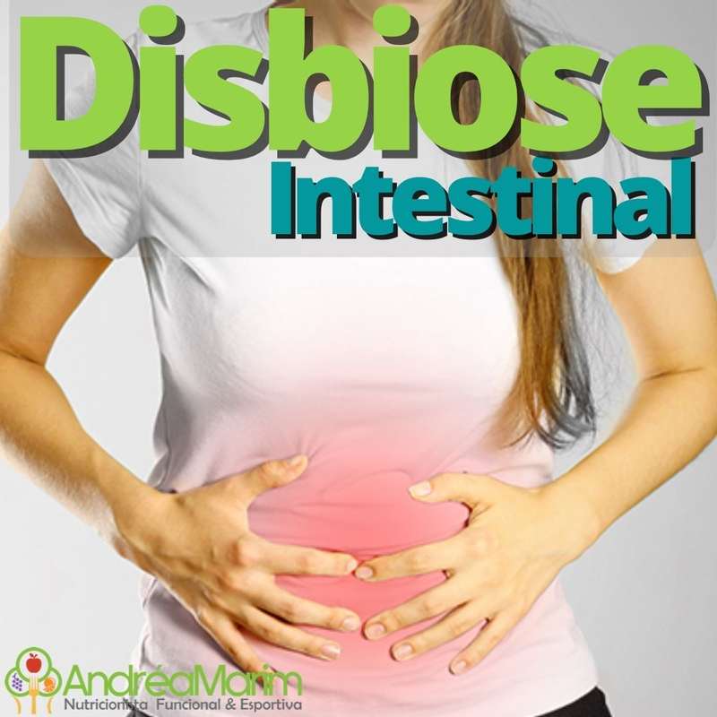Disbiose Intestinal-   