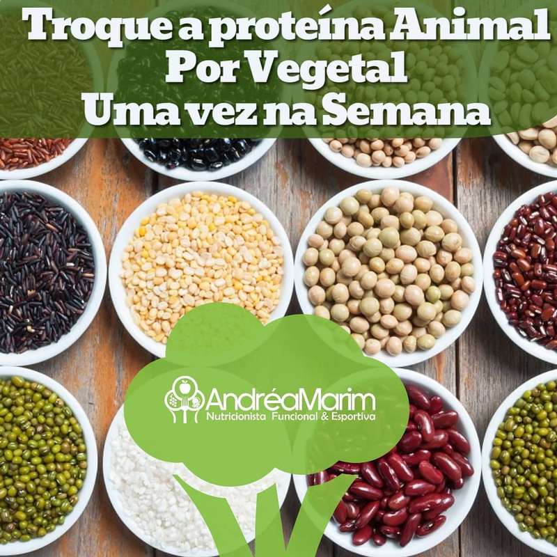 Troque a proteína Animal por Vegetal-Faça isso uma vez na semana !