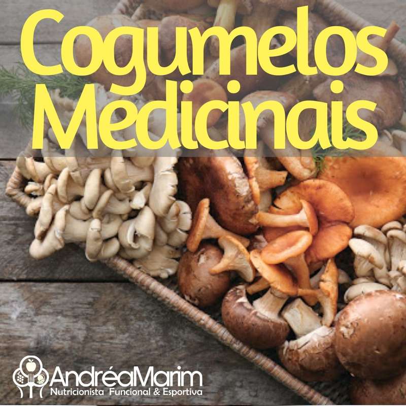 Cogumelos Medicinais- 