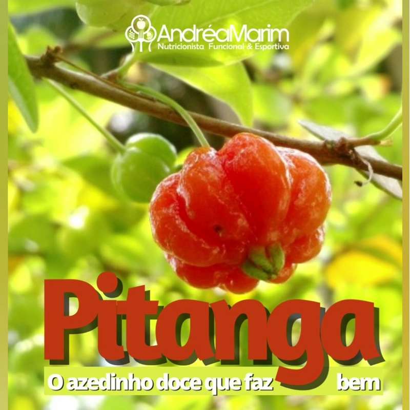 Pitanga- 