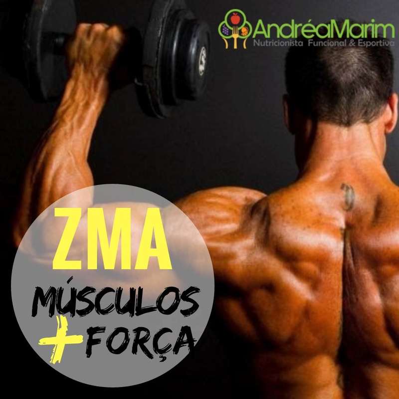 ZMA - Músculos + Força-   